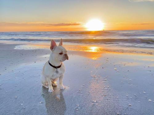Gilchrist House | Pet & Family Friendly on the Bay