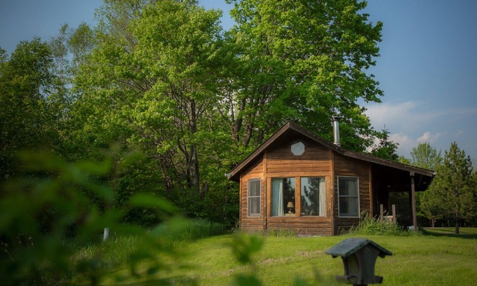 Finlayson Cabin | Pet freindly cabin in the meadows on the edge of the forest with big windows