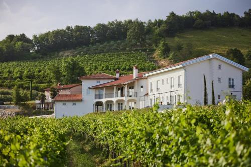 Brda Bed & Breakfast | Peterc Vineyard Estate