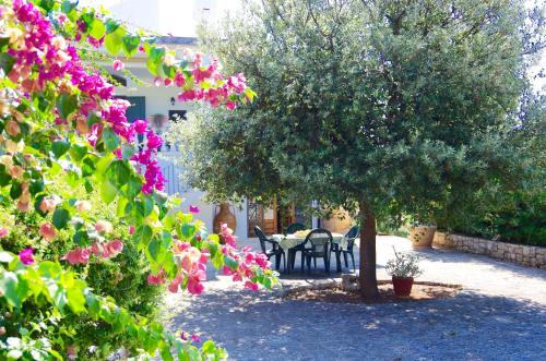 Ostuni Apartment | Piccola Oasi San Nicola