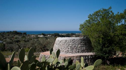 Salve House | Piccolo Trullo Salentino