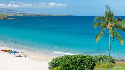 Kamuela Apartment | ❤PiH❤MAJESTIC OCEANOcean Views Stunning Mauna Kea Resort Best Beaches Bikes