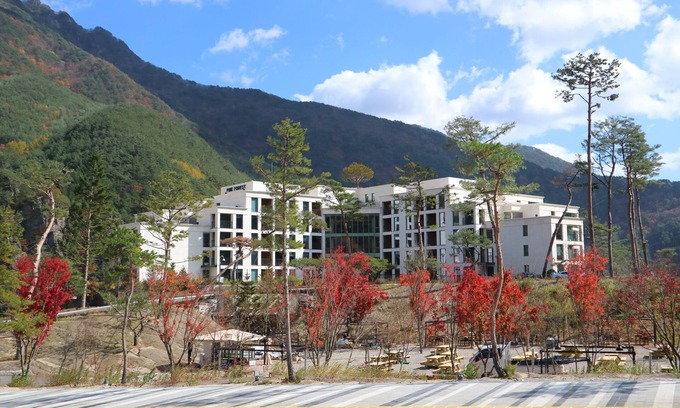 Jeongseon Apartment | Pine Forest
