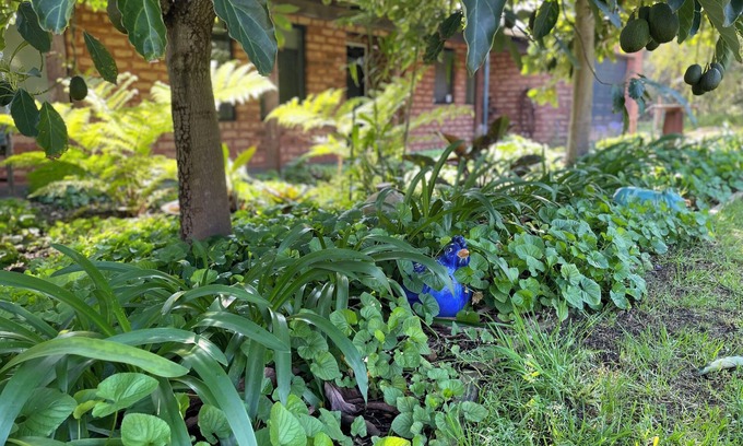 Walliston House | Ping Willows Guesthouse: Spacious Accommodation in the Perth Hills