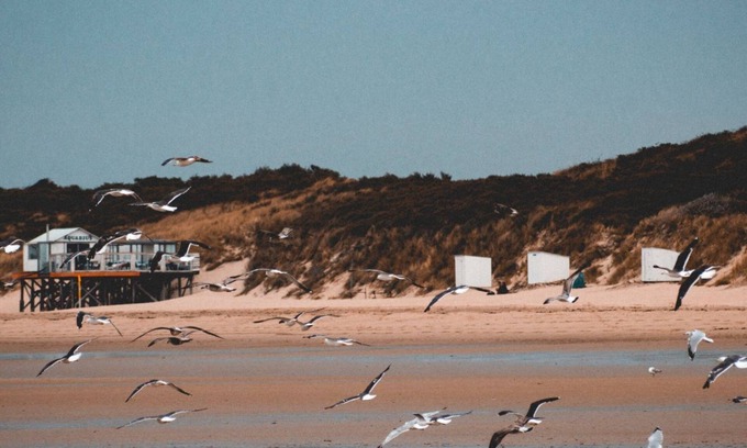 's-Gravenzande Resort | Pipowagen op het park