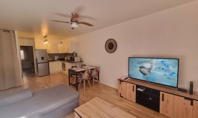 Dax Apartment | Pleasant Apartment T2 45M2 in the heart of the 1st spa town Dax