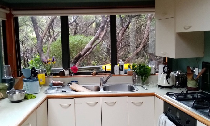 Plimmerton House | Plimmerton Tree Top house (one of two on hillside) - surrounded in manuka forest