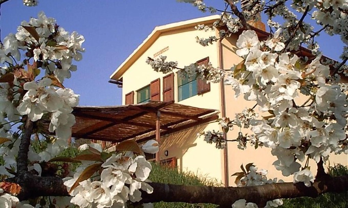 Montopoli in Val d'Arno Other | Podere Mazzana: houses in Marti - Montopoli Val d'Arno