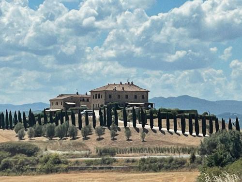 Montecatini Val di Cecina Apartment | Podere Le Volpaie - Arancia