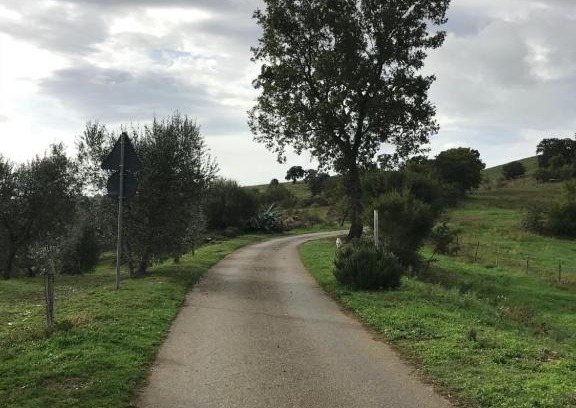 Magliano in Toscana House | Podere Pini