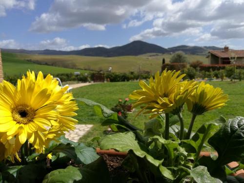Volterra House | Podere San Luigi - Pet Friendly