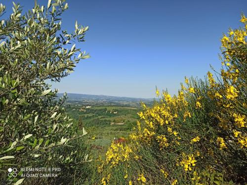 Magliano Apartment | Poggio dei Carli