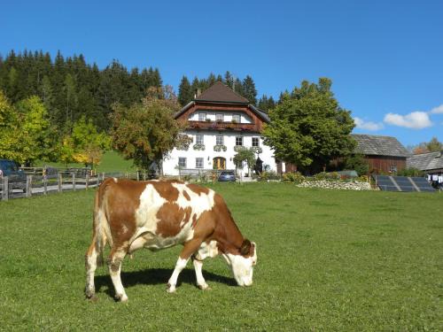 Sankt Andrae im Lungau Apartment | Polzhof