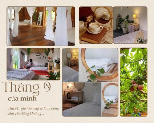 Moc Chau Cabin | Poong's Garden Mộc Châu