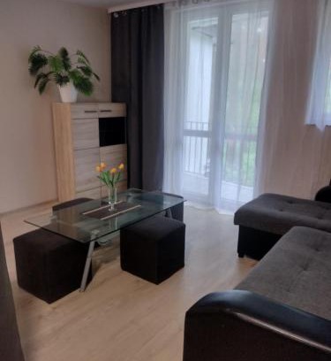 Sulejow Apartment | Positive energy 2