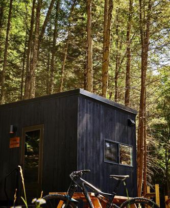 Larue Other | Postcard Cabins Piney Woods