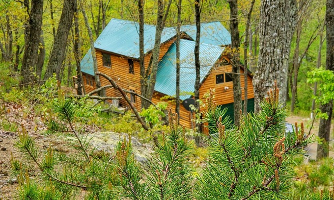 Green Spring Cabin | Potomac Cabin: Riverfront, 7 acres, sleeps 14, hot tub, Starlink