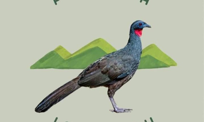 Correas Hotel | Pousada Jacu Acu