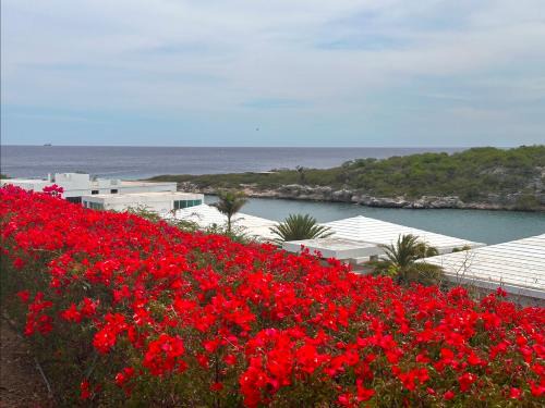 Piscadera House | Prachtige bungalow/schitterend uniek uitzicht over baai en oceaan
