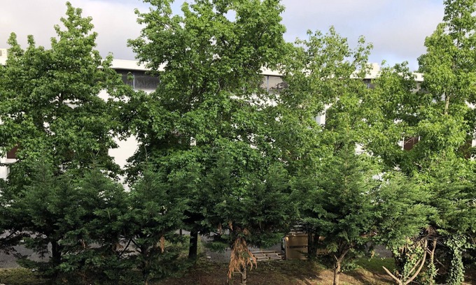 Merignac Hotel | Premiere Classe Bordeaux Ouest - Mérignac Aéroport
