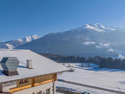 Schonbach Ski Chalet | Premium XL