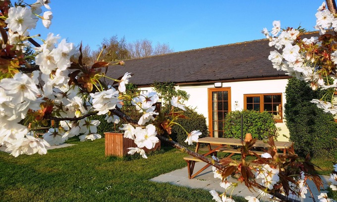 Westmarsh Cottage | Pretty holiday cottage at Hawthorn Farm with lovely views of the donkey paddocks