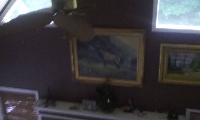 Hiawassee Cabin | Primitive Cozy Cabin