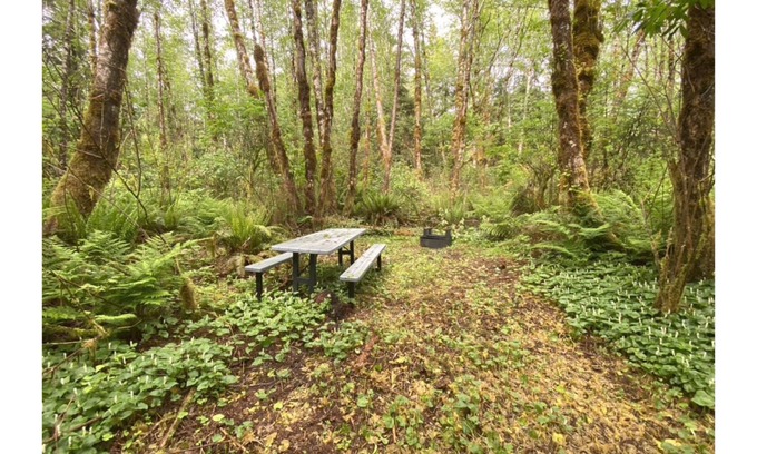 Forks RV Rental | Primitive Tent Site #15- Beautiful Forested Property