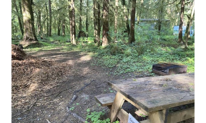 Forks RV Rental | Primitive Tent Site #7- Beautiful Forested Property