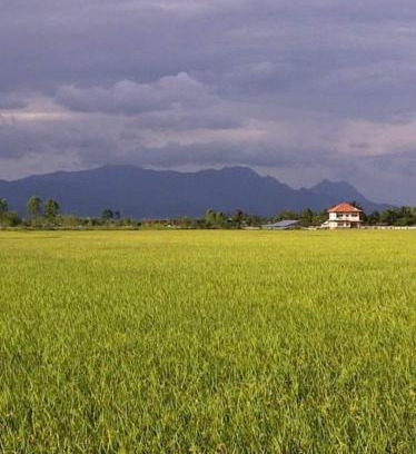 Pa Tueng House | Princess's Palace A