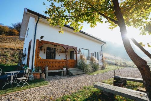 Floresti House | Prispa Casei