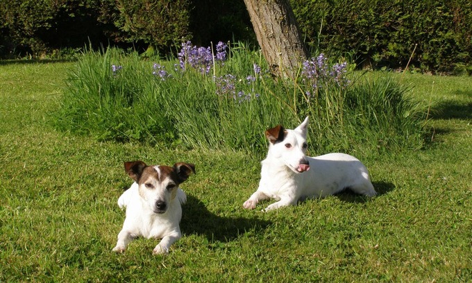 Lower Wick Apartment | Private Apartment, Rural Setting, Easy Access To Countryside, Cities & Culture