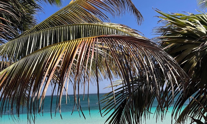 Playa Paraiso Villa | Private beach front eco-chic hotel in the best location of Tulum Beach