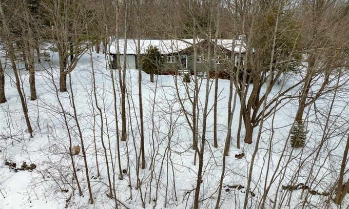 Grey Highlands Cabin | Private Cabin Retreat in Pretty River Valley |15 min to Blue Mountain