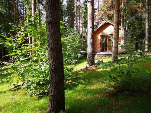 Inturkes seniunija House | Private cosy forest cabin