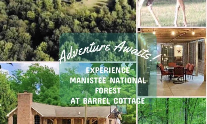 White Cloud Cottage | Private cottage on 10 acres in Manistee National Forest