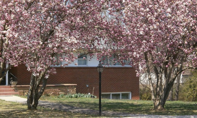 Knoxville Apartment | Private Entrance with off street Carport Parking!