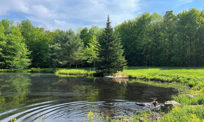 Bromont Apartment | PRIVATE FOREST WITH PATHS AND POND ON THE DOORSTEP. YOUR DOG OFF-LEASH EVERYWHERE.