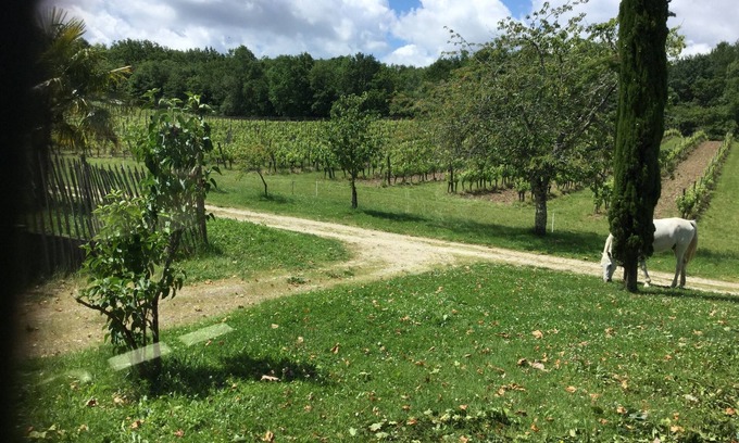 Sigoules House | Private gite for rent in a wine estate