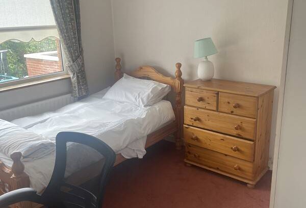 Dublin Resort | Private room ∙ 1 guest