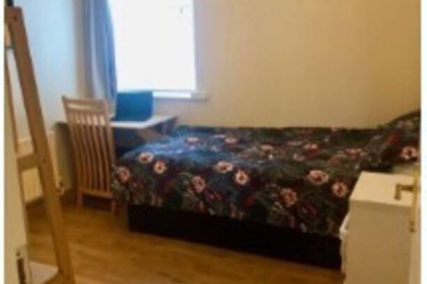 Stillorgan Resort | Private room ∙ 1 guest