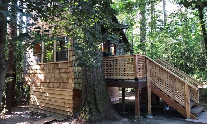 Beaverton Cabin | Private tiny forest cabin near Portland and local wineries.
