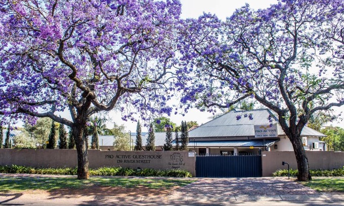 Sunnyside Bed & Breakfast | Pro Active Guest House