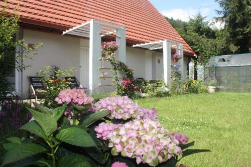 Ladek-Zdroj Apartment | Przystanek Dzika Dolina