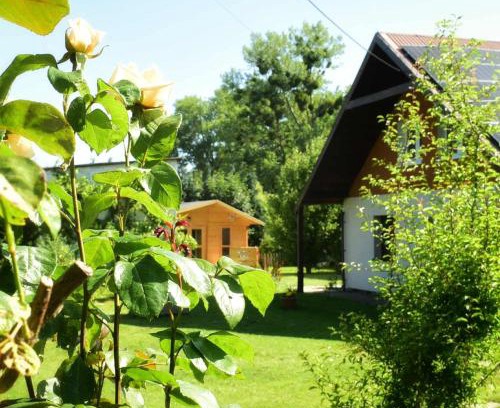 Orlinki Apartment | Przystanek Przegalina