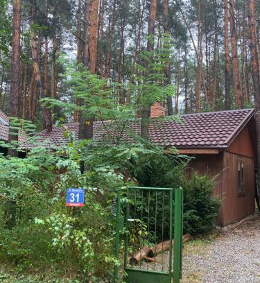 Kozienice House | Przytulny domek w lesie blisko rzeki