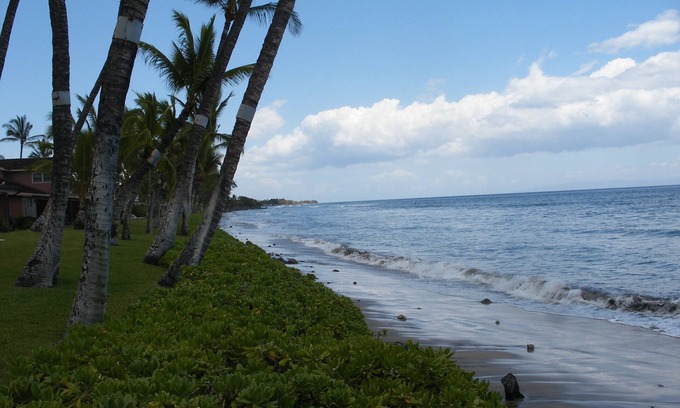 Downtown Lahaina Condo | PUAMANA 2 BR PREMIER UNIT 200 Ft. from Ocean 153-6
