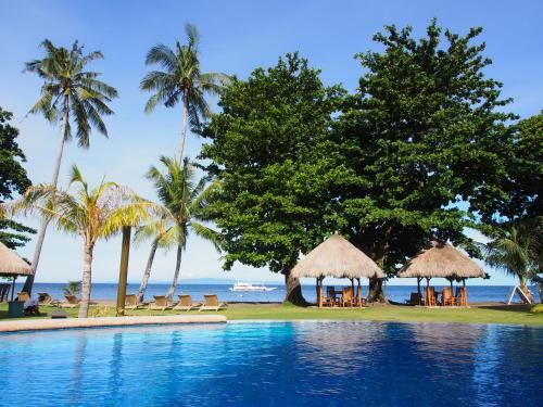 Dauin Resort | Pura Vida Beach & Dive Resort