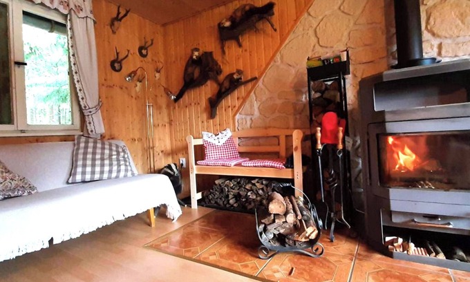 Frauenwald House | Quaint vacation home on the Rennsteig - sauna & fireplace! With Thüringer WaldCard All Incl.