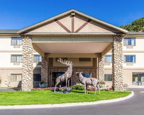 Eagle Hotel | Quality Inn & Suites Vail Valley